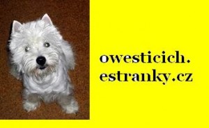 Obrazek